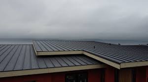 Best Metal Roofing Installation  in Warrensburg, IL